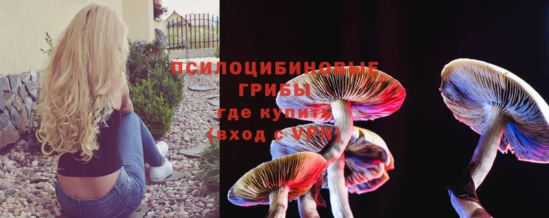 Псилоцибиновые грибы MAGIC MUSHROOMS  магазин продажи наркотиков  Ялта 